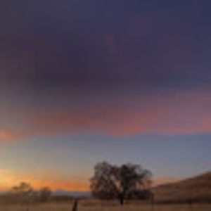 Meet your Posher, Ashlee